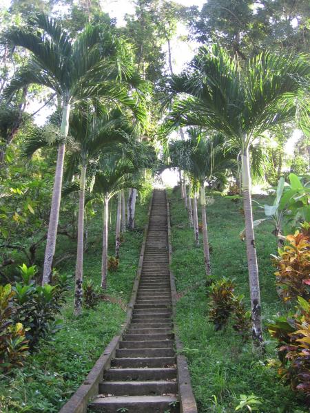  Charlotteville a Tobago