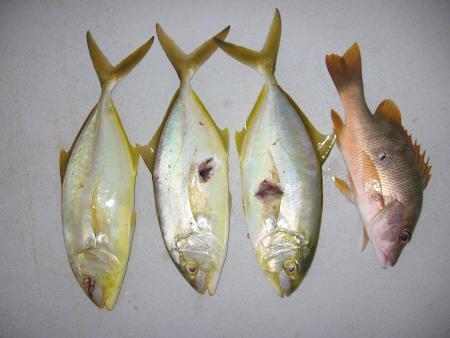 peche en apnee