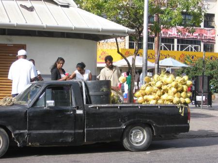 Noix de coco