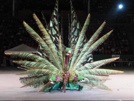 Soiree election du meilleur costume du carnival