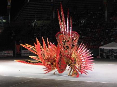 Soiree election du meilleur costume du carnival