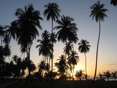Coucher de soleil