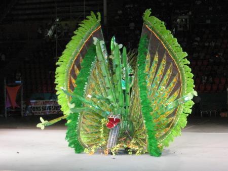 Soiree election du meilleur costume du carnival