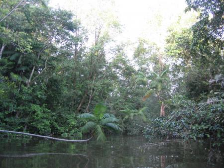 Petite riviere
