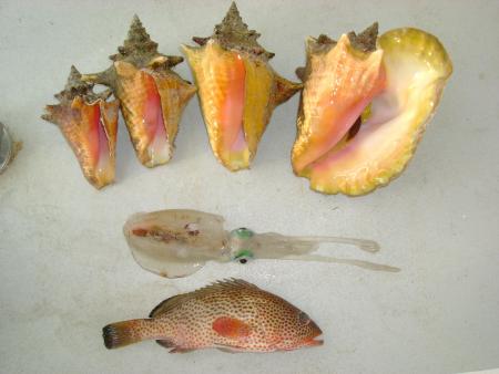 Peche