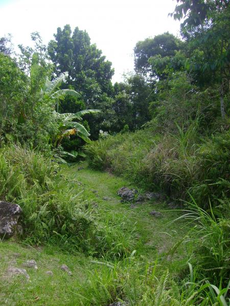 Chemin entre les 2 villages de Saba