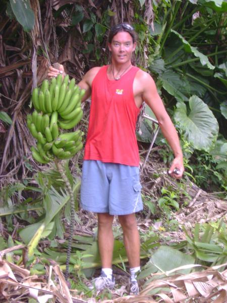 Regime de banane