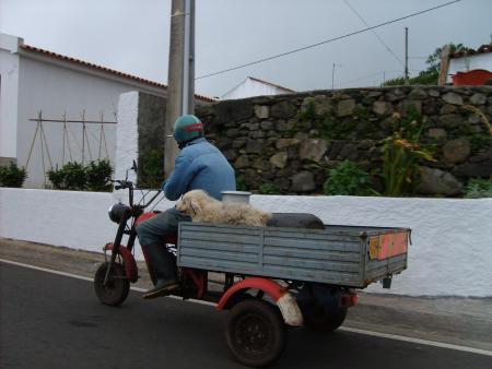 Triporteur