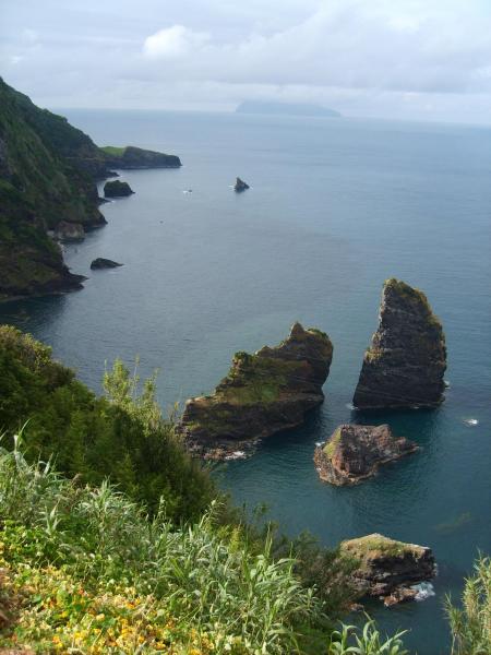 superbe cote de Flores