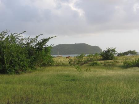 mouillage